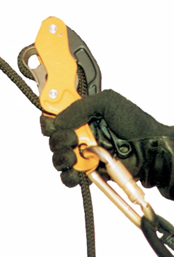 Anthron Descender