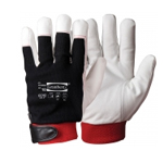 Argon Winter Gloves